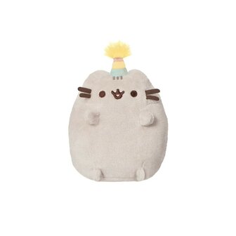 Pusheen Party small