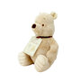 DN1460  Classic Winnie the pooh knuffel  19 cm