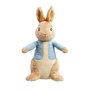 PO2025  Peter Rabbit Pluche classic 24 cm