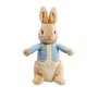 PO2023  Peter Rabbit Pluche 16 cm classic