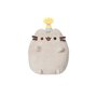 Pusheen Party small