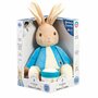 PO2070 Peter Rabbit knuffel met muziek en verlichting